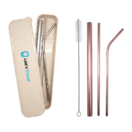 4-in-1 Premium Stainless Steel Drinking Straw Gifts Set